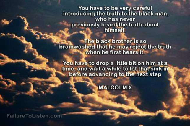 Malcolm-X-_Black-Man-the-truth